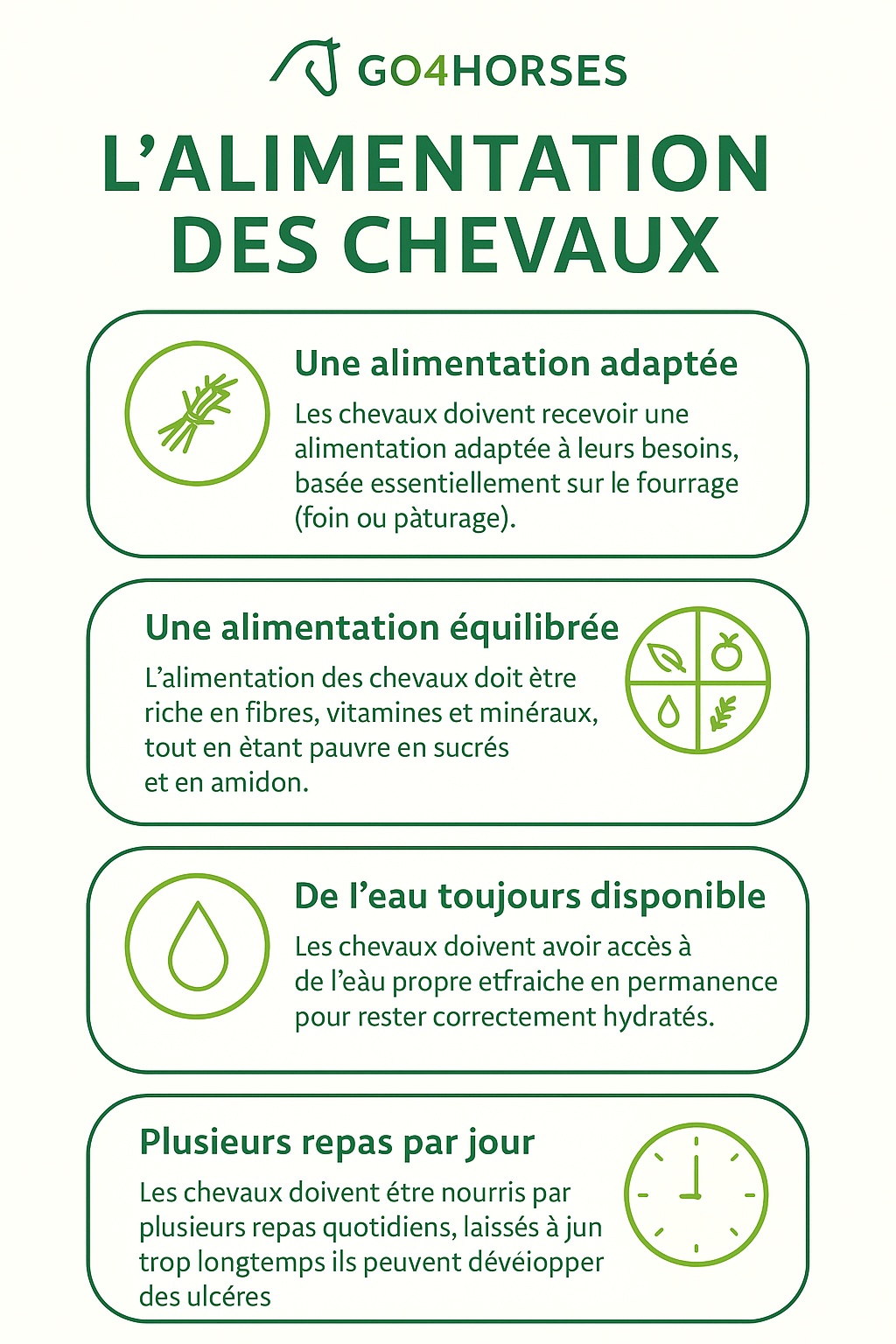 L'Alimentation des Chevaux : Fondement de leur Bien-Être