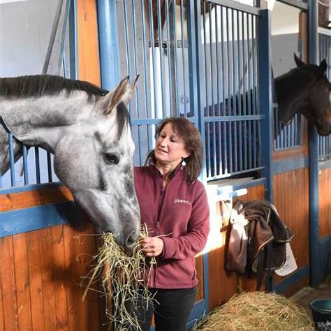 Associations de protection équine : Des acteurs essentiels pour le bien-être des chevaux